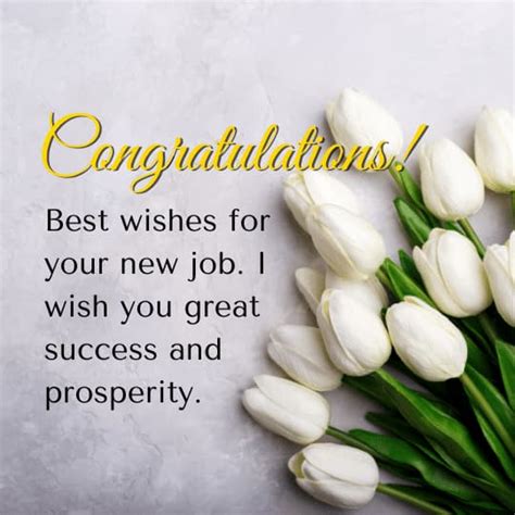 New job congratulation messages: tips and examples.